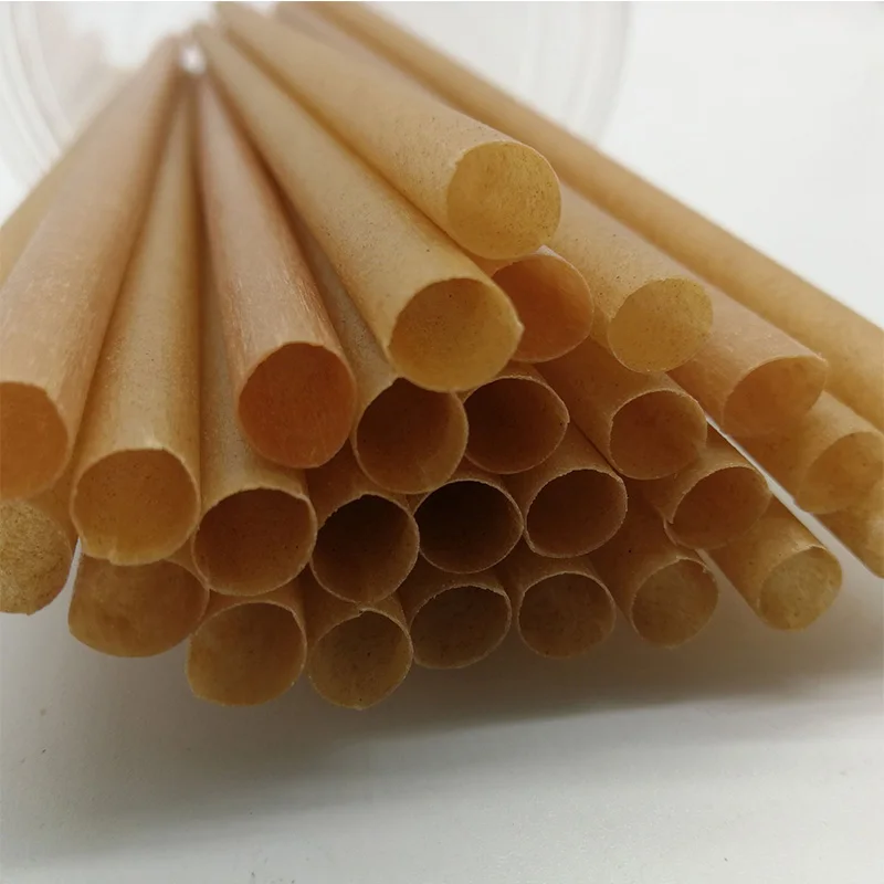 Pailles à boire en canne à sucre